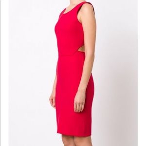 Elizabeth and James cut-out body con dress